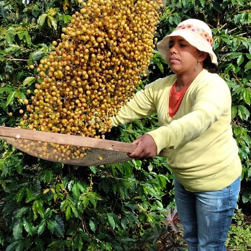 /20318WhatsApp Image 2021-04-09 at 14.46.13 (2).jpeg